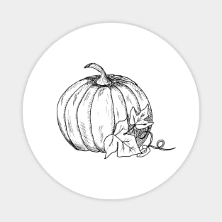 Hand drawn pumpkin Magnet